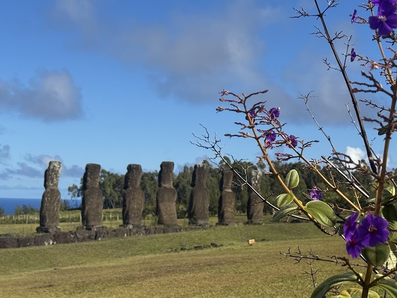 Photo 3 at Ahu Akivi in Easter Island