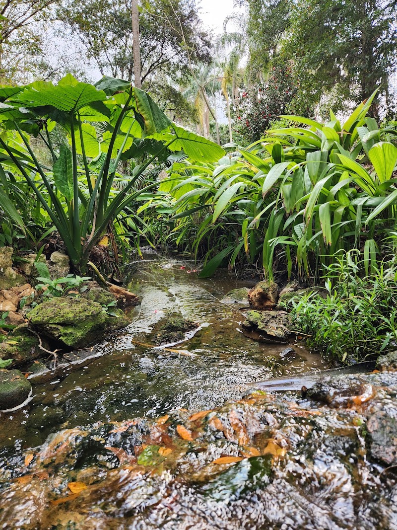 Photo 5 at Dickson Azalea Park in Orlando