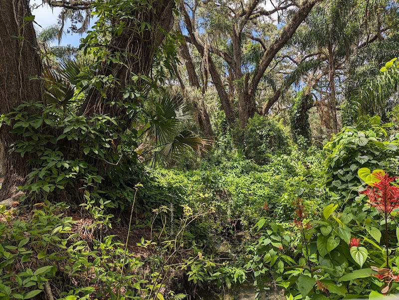 Photo 3 at Dickson Azalea Park in Orlando