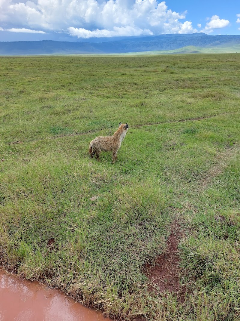 Photo 5 at Ngorongoro Crater ViewPoint in 