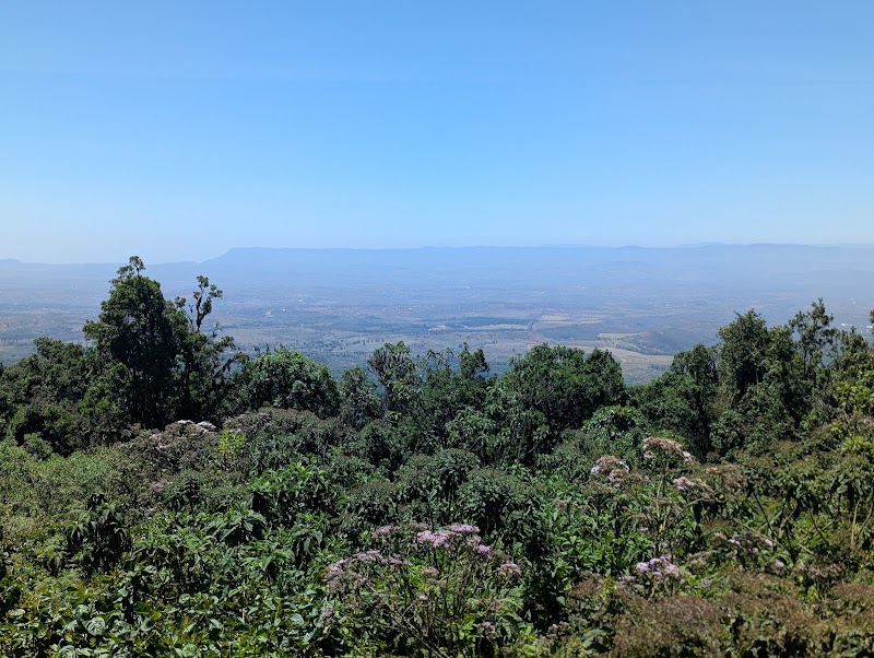Photo 1 at Ngorongoro Crater ViewPoint in 
