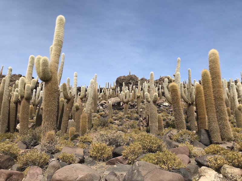 Photo 4 at Salt Flats in Uyuni