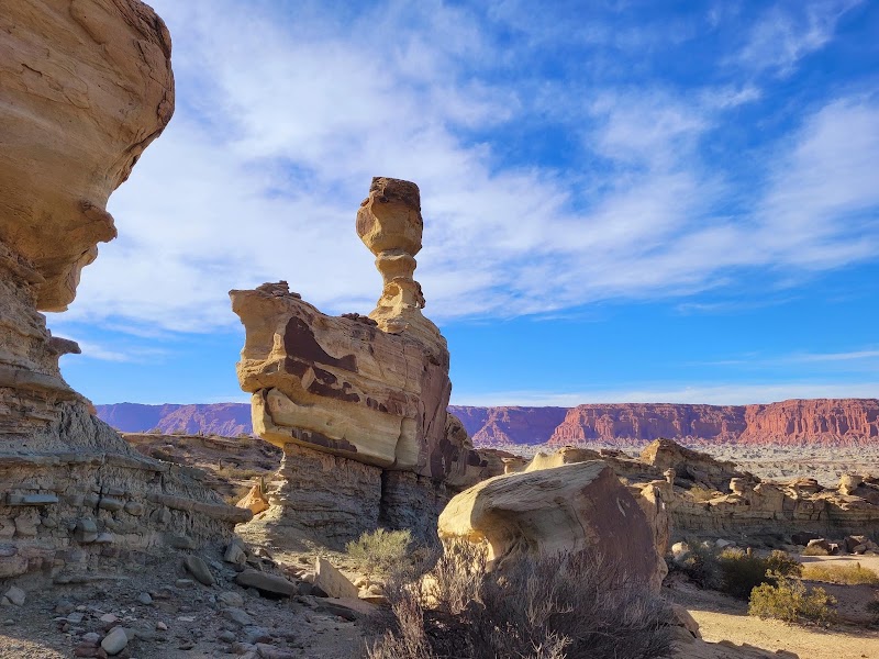 Photo 1 at Ischigualasto Provincial Park in Villa San Agustín