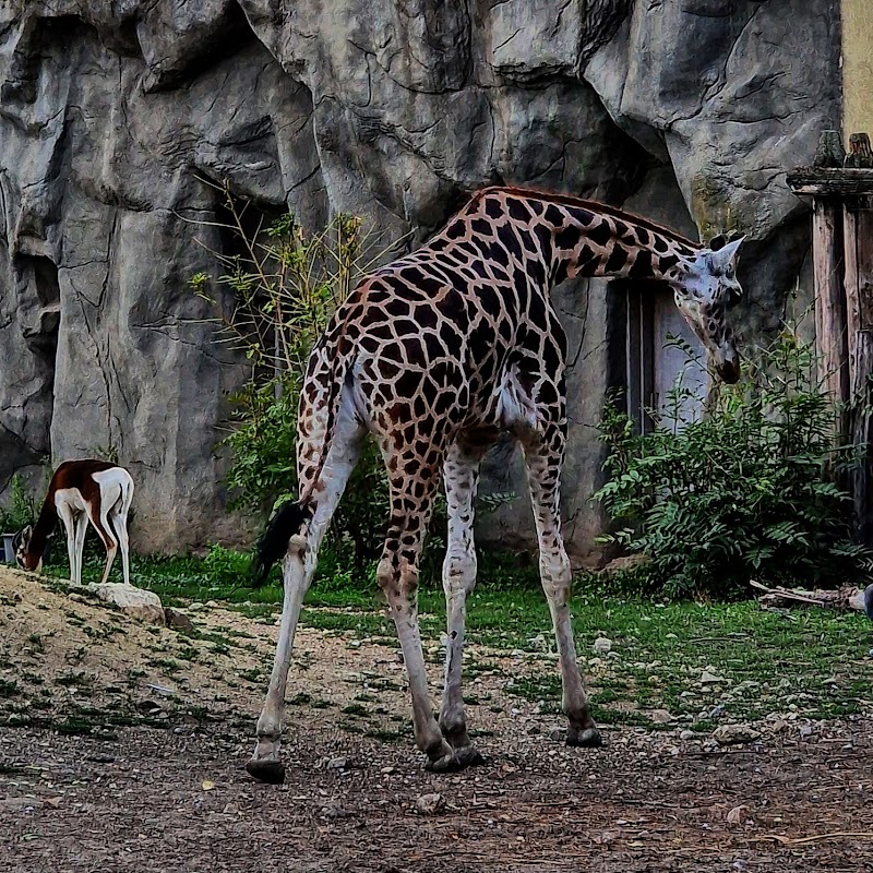 Photo 3 at Budapest Zoo & Botanical Garden in Budapest