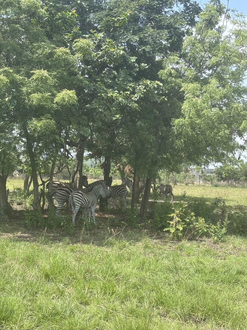 Photo 3 at Ghana Must Go Tours in Accra