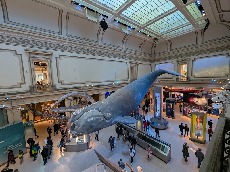 Photo 3 at Smithsonian National Museum of Natural History in Washington