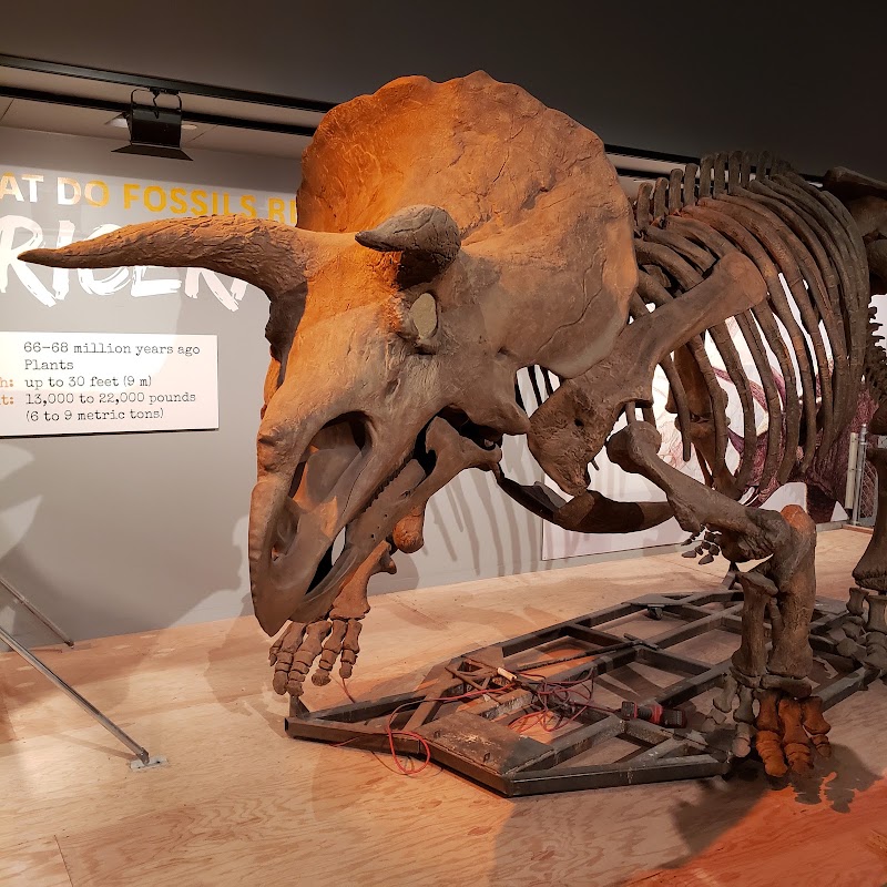 Photo 4 at Smithsonian National Museum of Natural History in Washington