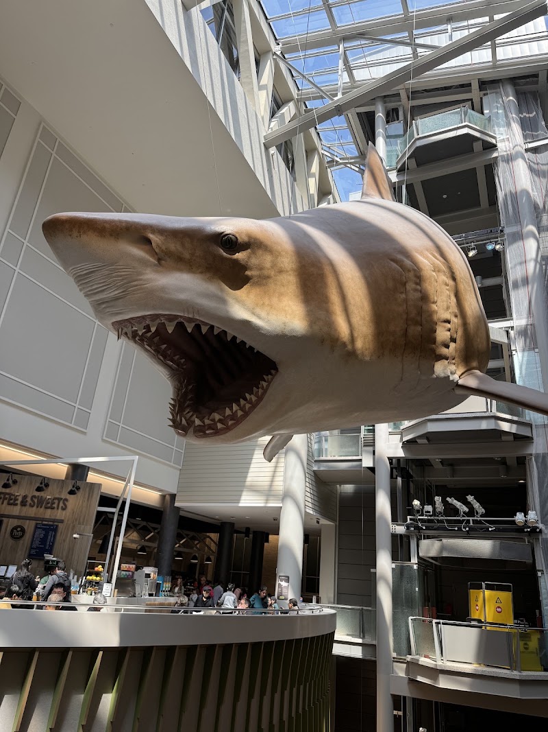 Photo 5 at Smithsonian National Museum of Natural History in Washington