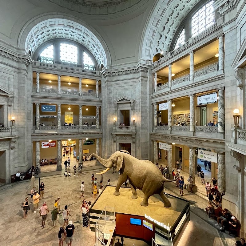 Smithsonian National Museum of Natural History in Washington