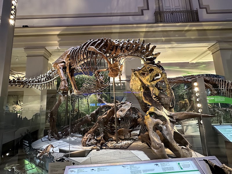 Photo 2 at Smithsonian National Museum of Natural History in Washington