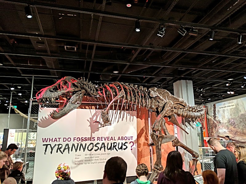 Photo 6 at Smithsonian National Museum of Natural History in Washington