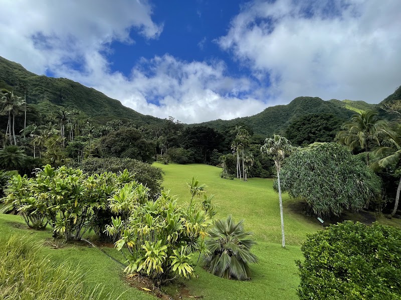 Photo 1 at Lyon Arboretum in Honolulu