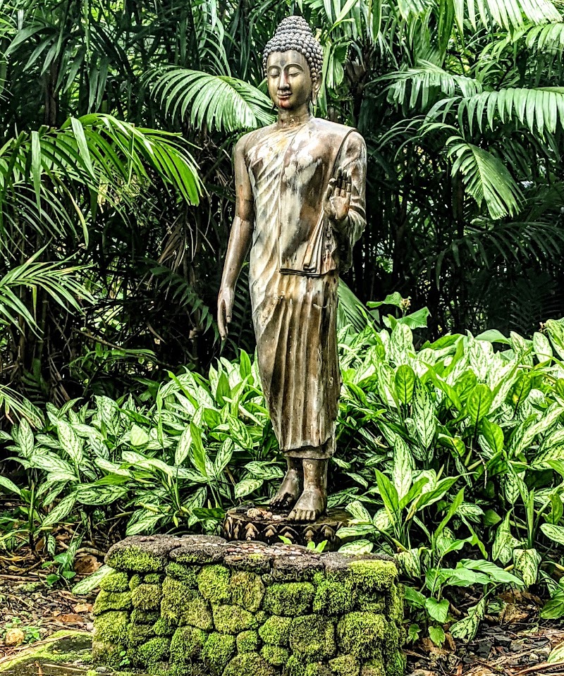 Photo 4 at Lyon Arboretum in Honolulu