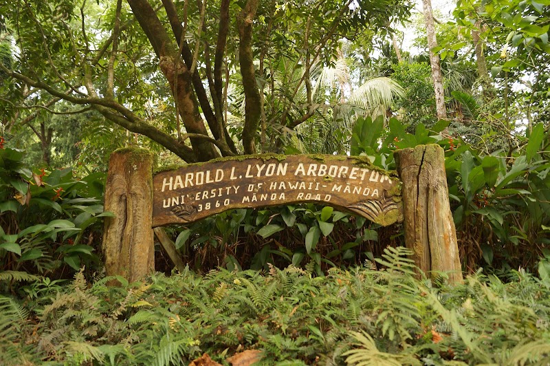 Photo 2 at Lyon Arboretum in Honolulu