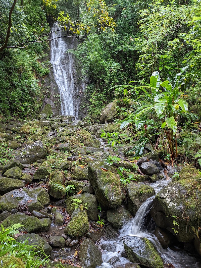 Photo 5 at Lyon Arboretum in Honolulu