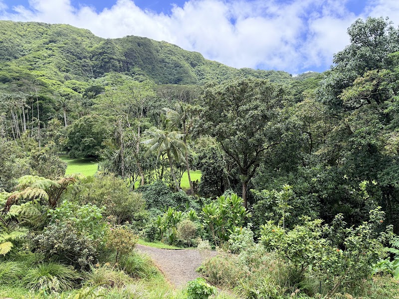 Photo 6 at Lyon Arboretum in Honolulu