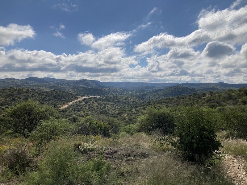 Photo 3 at Avis Dam Nature Reserve in Windhoek