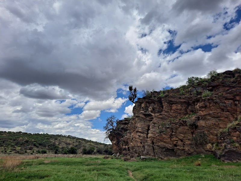 Photo 6 at Avis Dam Nature Reserve in Windhoek