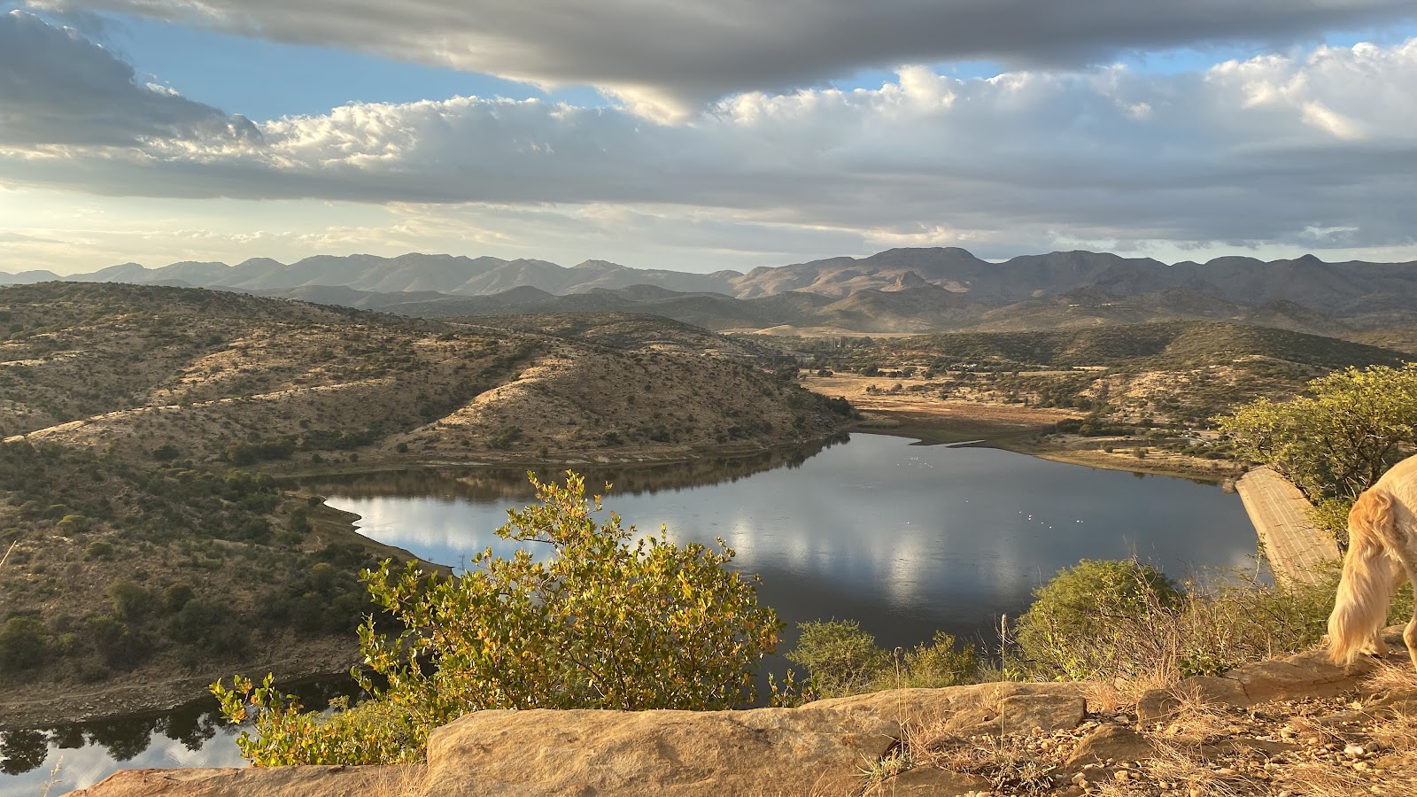 Avis Dam Nature Reserve in Windhoek