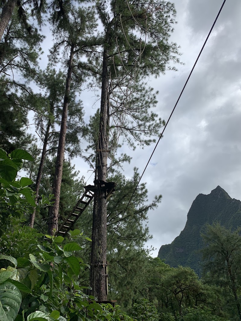 Photo 4 at Tiki Parc Moorea in MOOREA