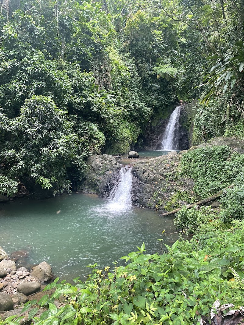 Photo 6 at Funtastic River Tubing & Adventures Grenada in 