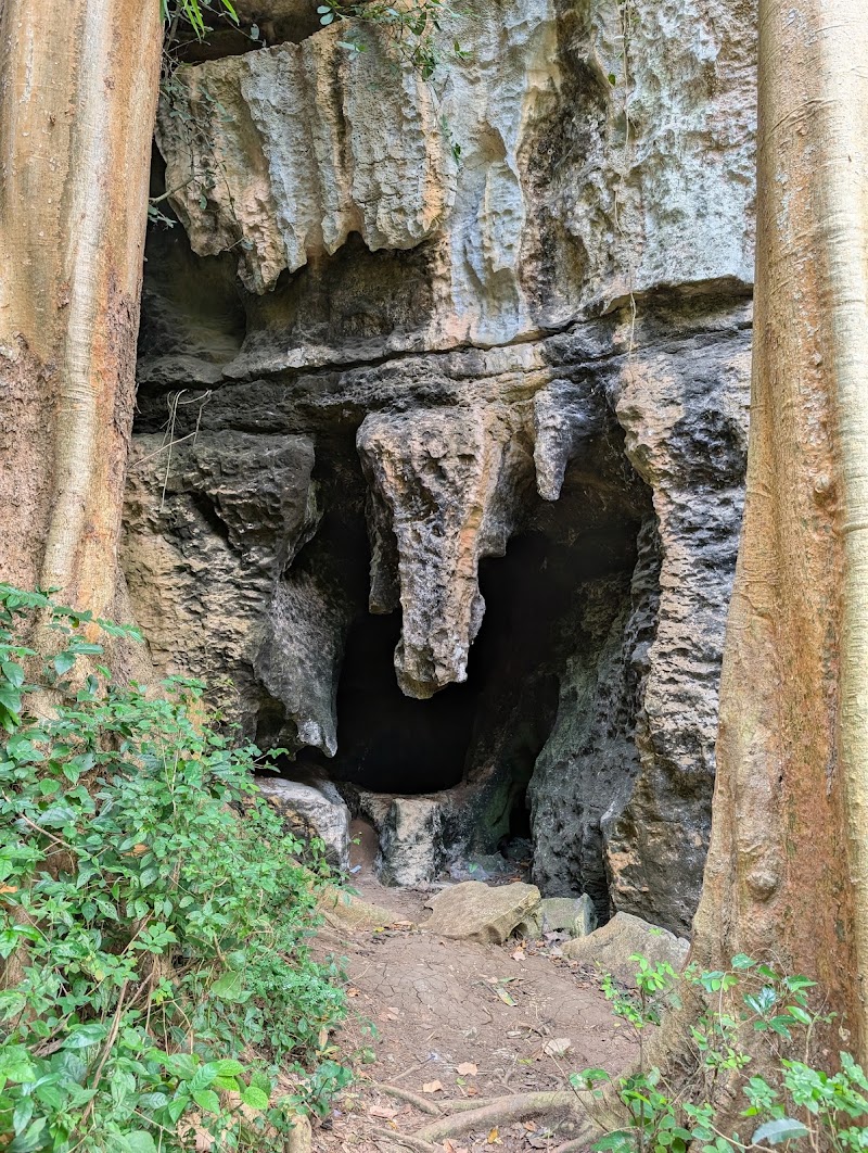 Photo 6 at Amboni Caves in 