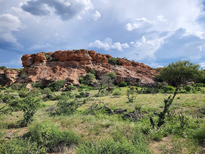Photo 5 at Mapungubwe National Park in Musina