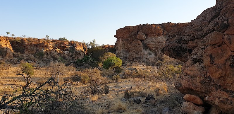 Photo 1 at Mapungubwe National Park in Musina