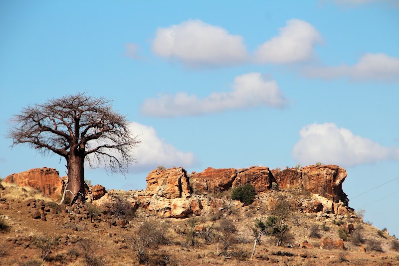 Photo 3 at Mapungubwe National Park in Musina