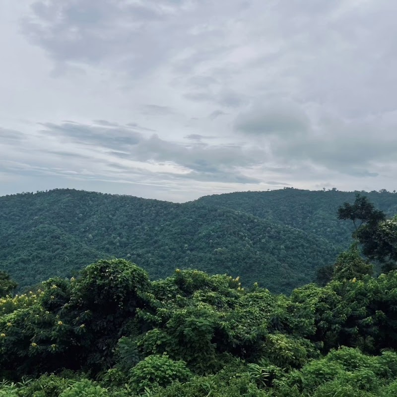 Photo 1 at Dong Phayayen–Khao Yai Forest Complex in Thai Samakkhi