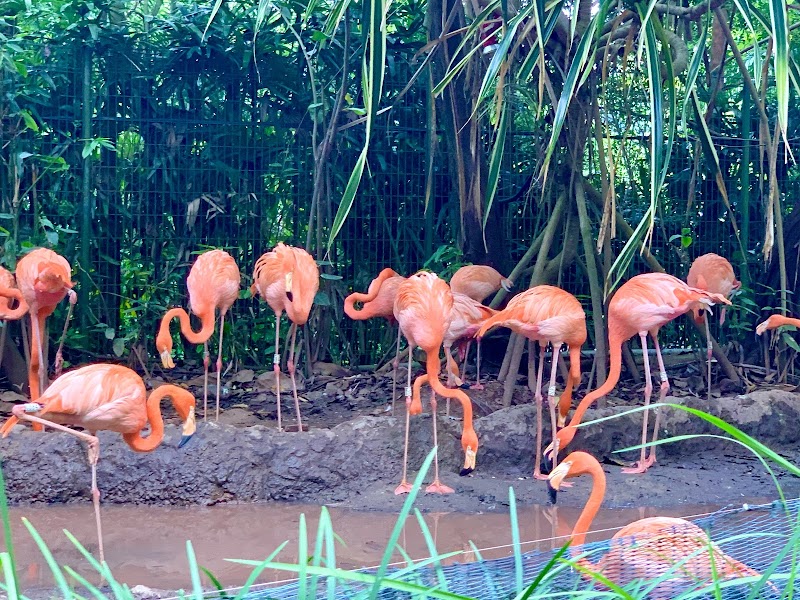 Photo 6 at River Wonders in Singapore