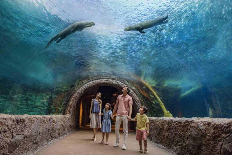 Photo 4 at River Wonders in Singapore