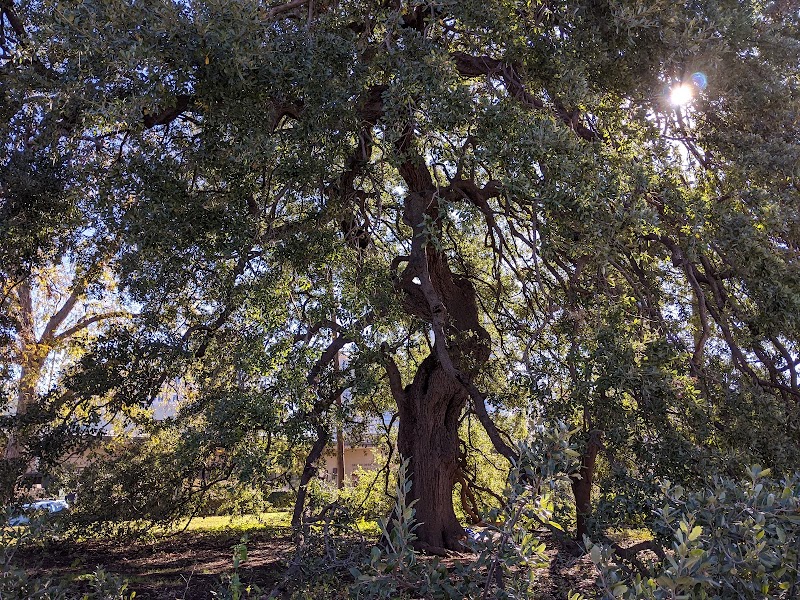 Photo 4 at Treaty Oak Square in Austin