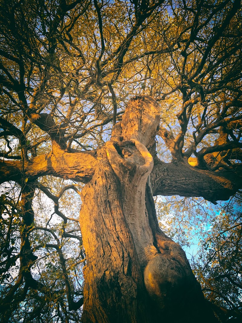 Photo 6 at Treaty Oak Square in Austin