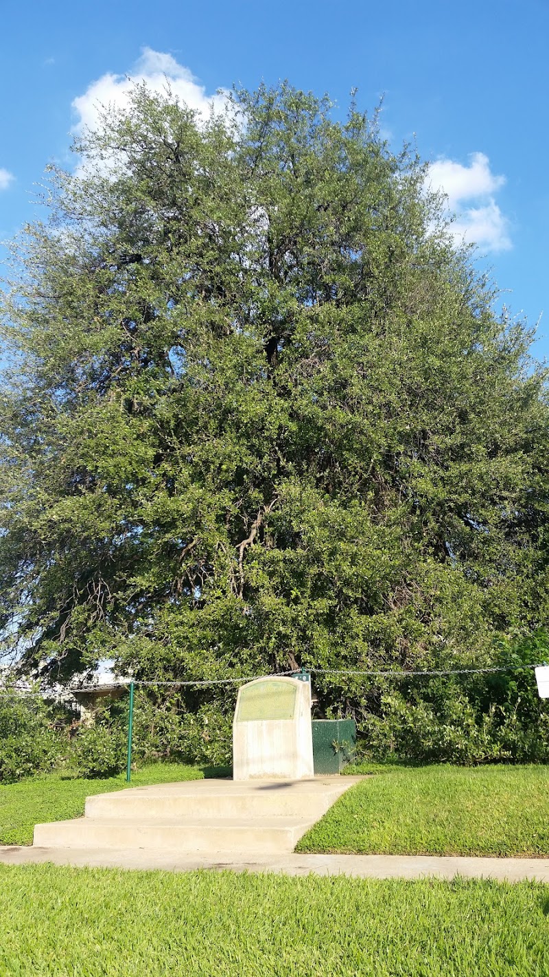 Photo 1 at Treaty Oak Square in Austin