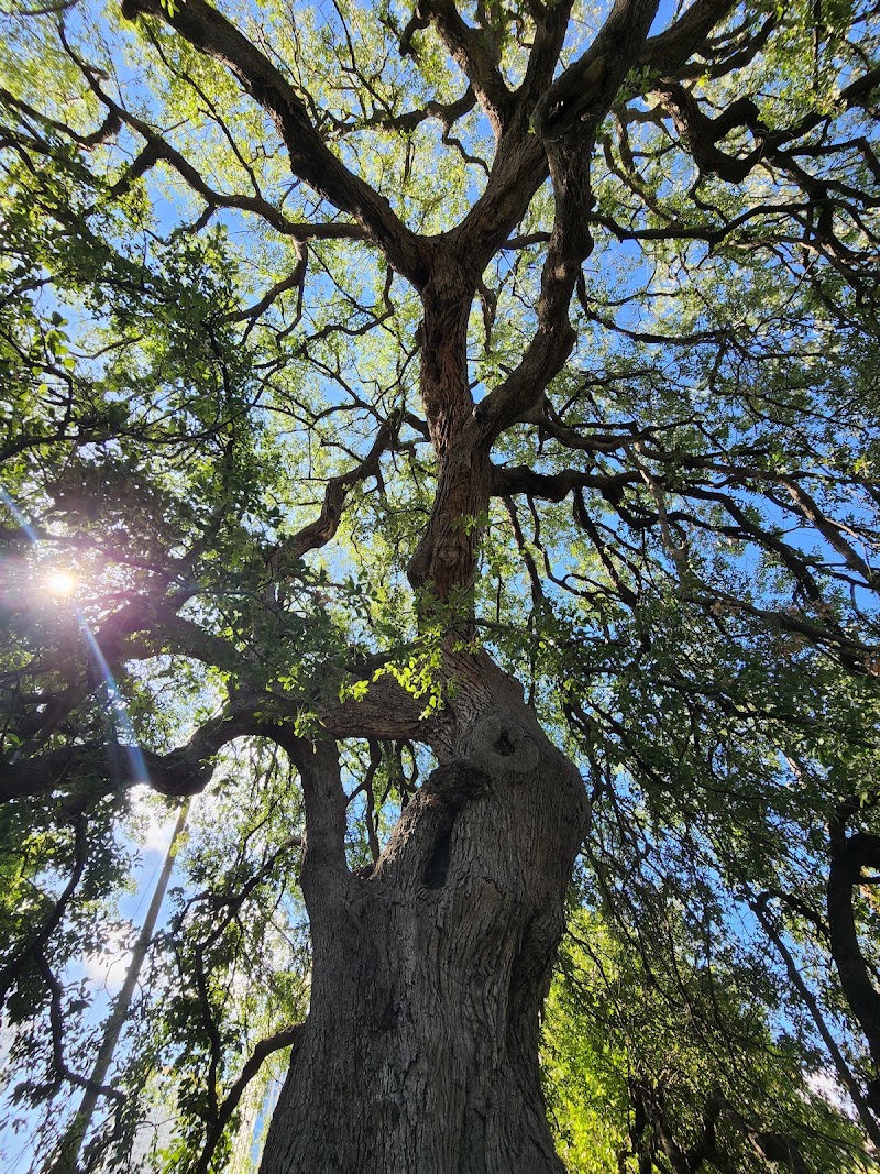 Photo 3 at Treaty Oak Square in Austin
