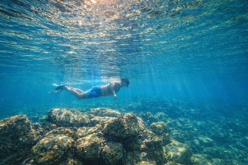Photo 2 at CocoVibes Tours - Private Custom Boat Tours in 