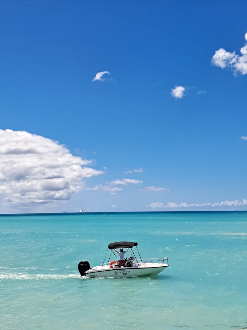 Photo 1 at CocoVibes Tours - Private Custom Boat Tours in 