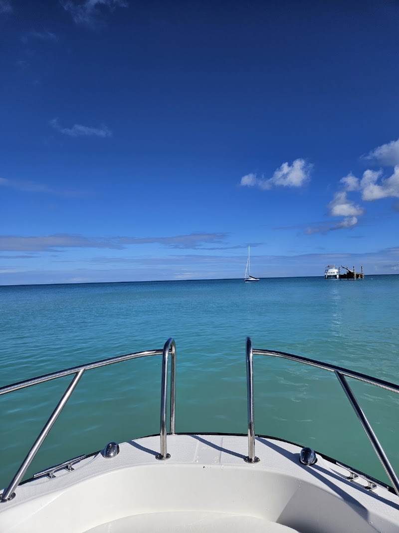 Photo 3 at CocoVibes Tours - Private Custom Boat Tours in 