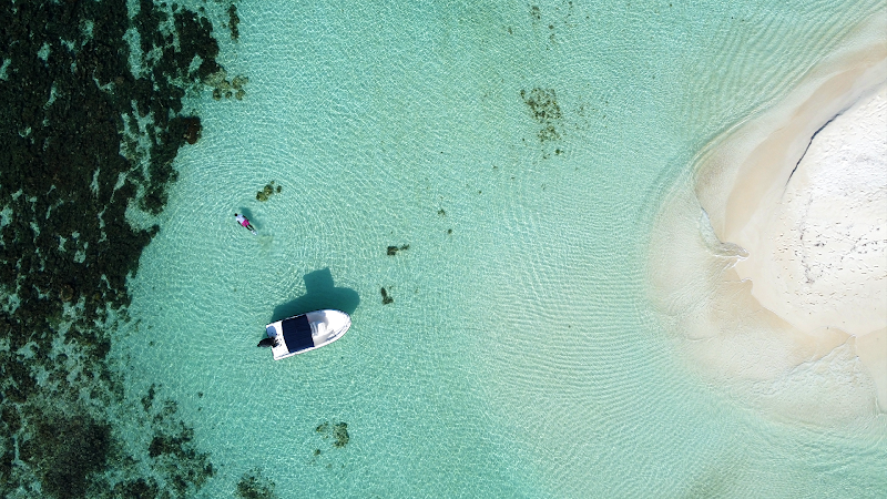 CocoVibes Tours - Private Custom Boat Tours in 