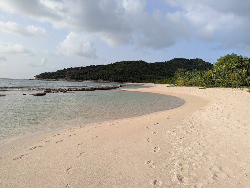 Photo 5 at CocoVibes Tours - Private Custom Boat Tours in 