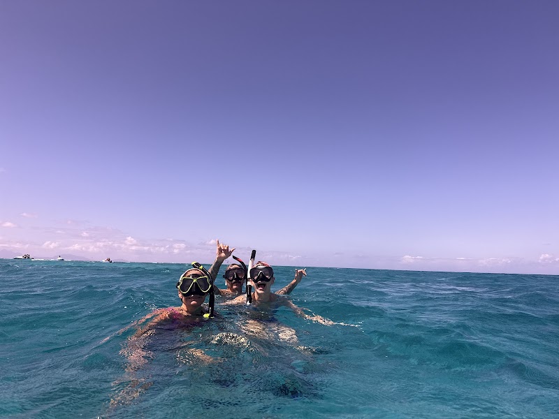 Photo 6 at CocoVibes Tours - Private Custom Boat Tours in 