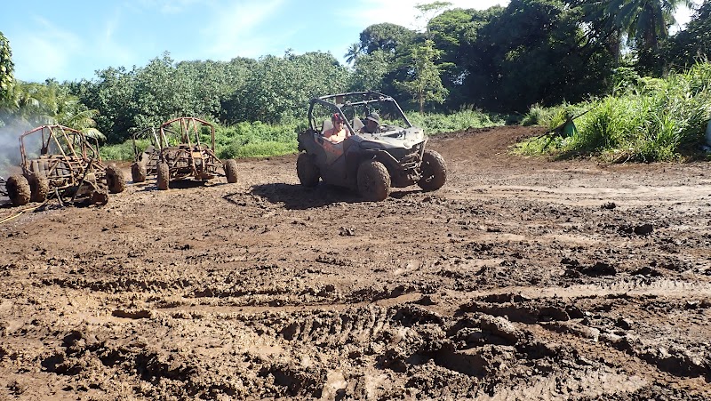 Photo 2 at Raro Buggy Tours in Ngatangiia District