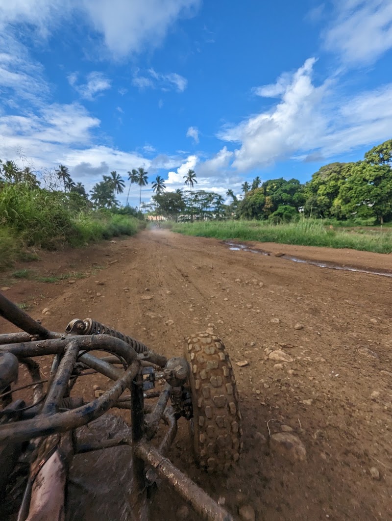 Photo 6 at Raro Buggy Tours in Ngatangiia District