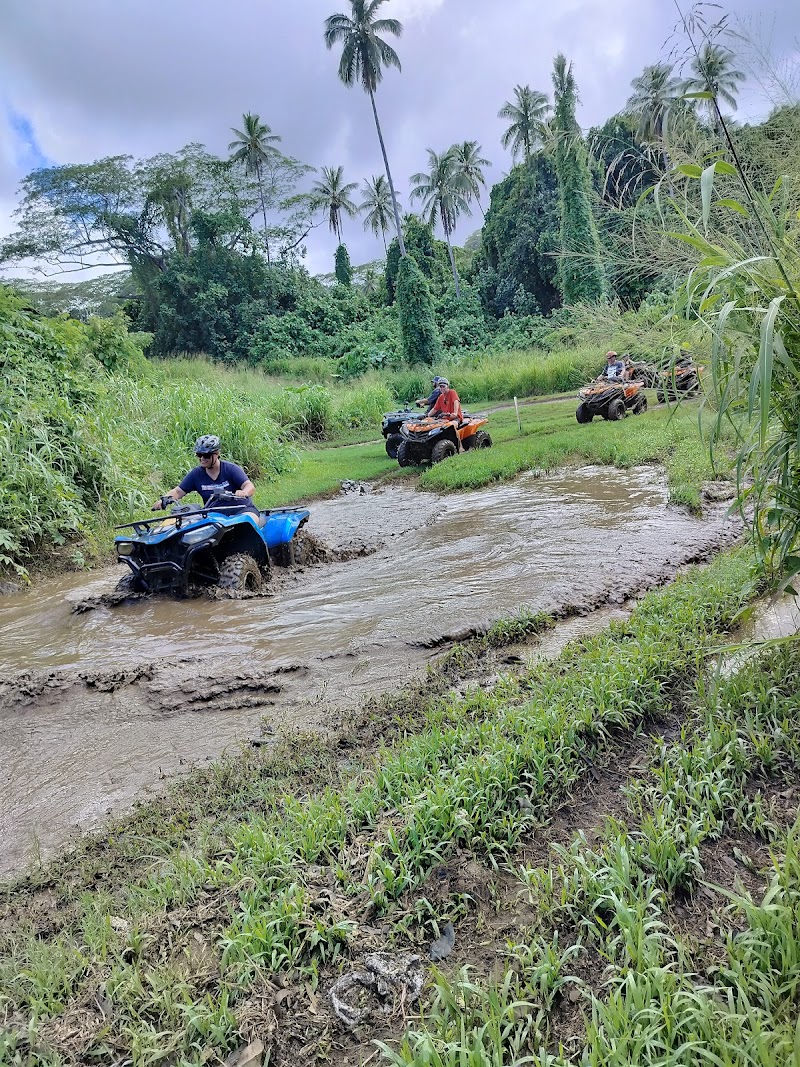 Photo 1 at Raro Buggy Tours in Ngatangiia District