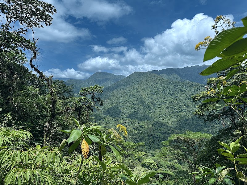 Braulio Carrillo National Park in 