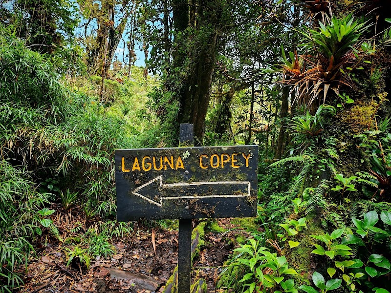 Photo 6 at Braulio Carrillo National Park in 