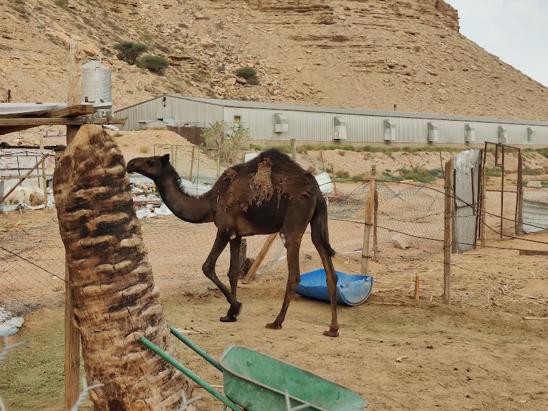 Photo 4 at Saudi Hiking HQ in Riyadh