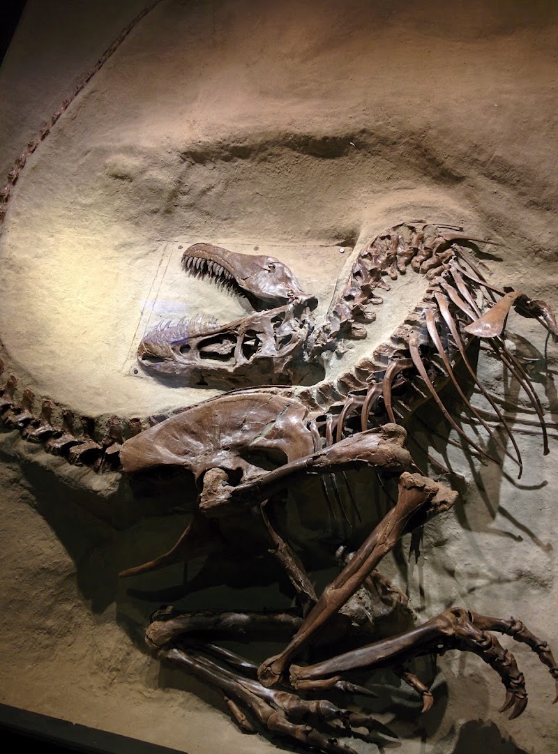 Photo 2 at Royal Tyrrell Museum in Drumheller