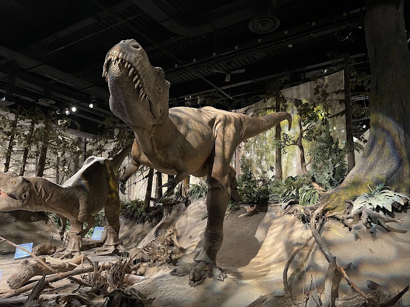 Royal Tyrrell Museum in Drumheller